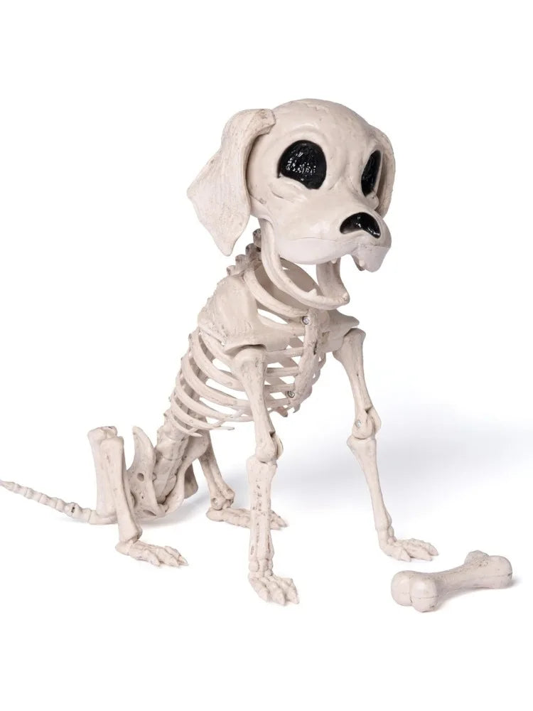 Halloween Dog Skeleton | Poseable Full Body | Realistic Design | Small 12 Inch