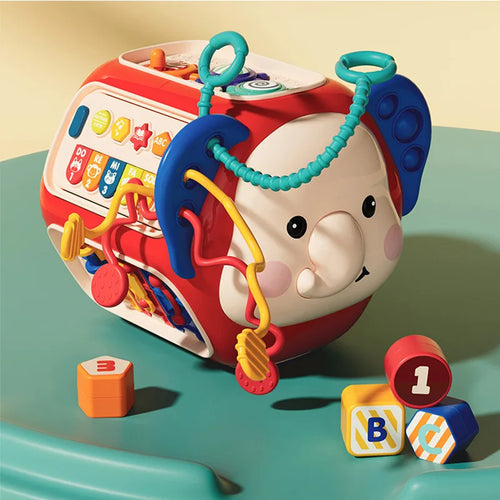 Montessori Baby Toys  6 to 12 Months Development Educational Games ToylandEU.com Toyland EU