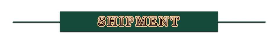 In Stock Demoniacal Fit Dragon Ball Legendary Berserker Action Figures Broly Figurine Gk Statue Collectible Model - ToylandEU