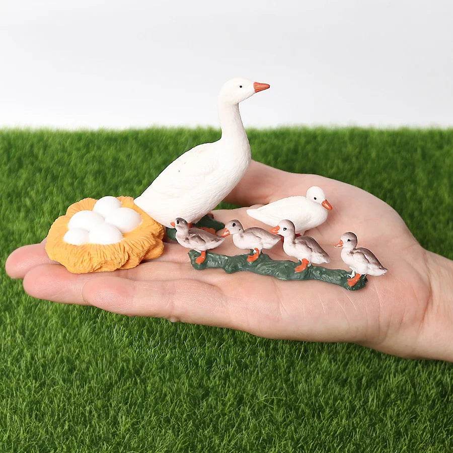 Educational STEM Toy Animal Life Cycle 4 Stage Kit For Kids - ToylandEU