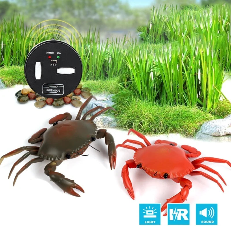 Educational Electric RC Crab Toy With Light Remote Control