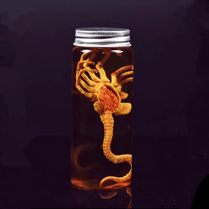 Alien Jar Xenomorph Specimen Facehugger Embryo Jar Movie Prop Replica - ToylandEU