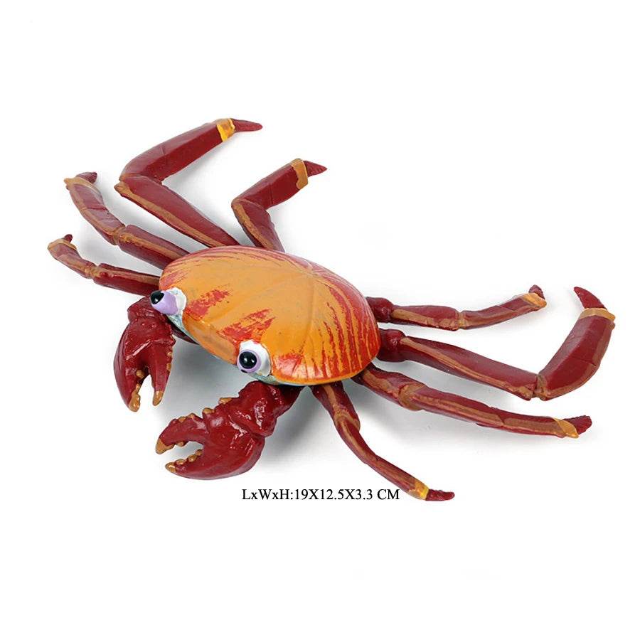 Realistic Sea Life Figurines Hermit Crab King Crab Display - ToylandEU