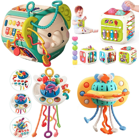 Montessori Baby Toys  6 to 12 Months Development Educational Games - ToylandEU
