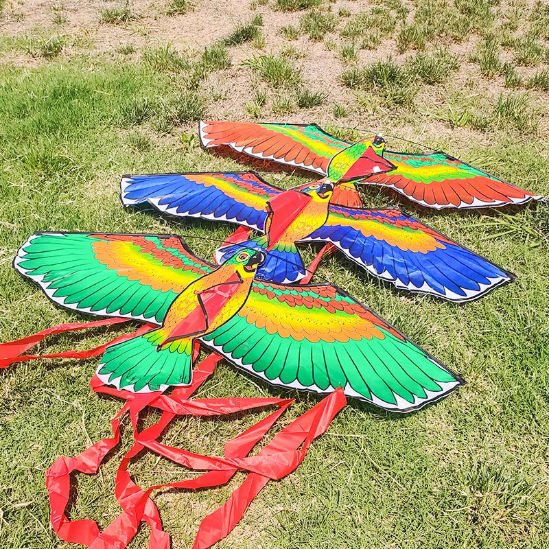Parrot Kite | 1.1m Wingspan | 100m Line | 1.4m Tail