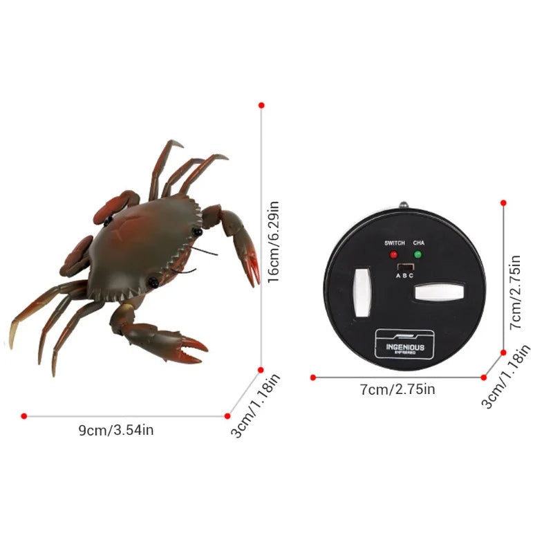Educational Electric RC Crab Toy With Light Remote Control