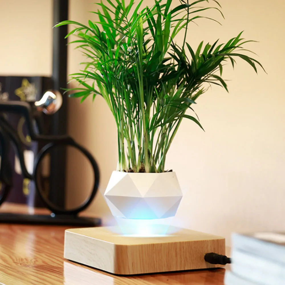 Levitating Magnetic Floating Plant Pot with Rotating Bonsai Planters - ToylandEU