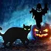Halloween Yard Signs | Cat And Ghost Figures | Includes Ground Stakes | 6 Piece Set