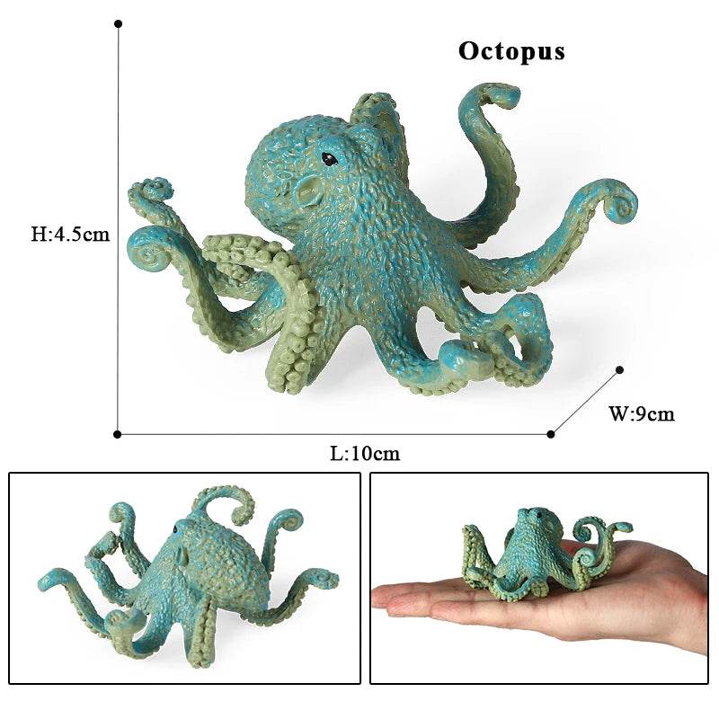 Educational Marine Life Model Set Squid And Octopus Growth Cycle Simulation For Kids - ToylandEU