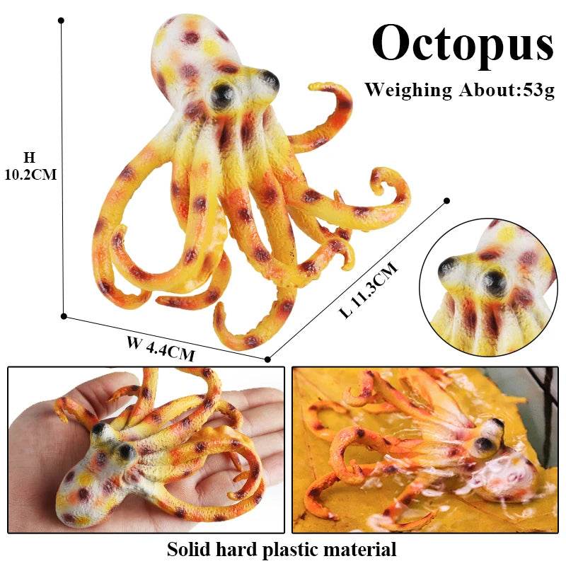 Educational Marine Life Model Set Squid And Octopus Growth Cycle Simulation For Kids - ToylandEU
