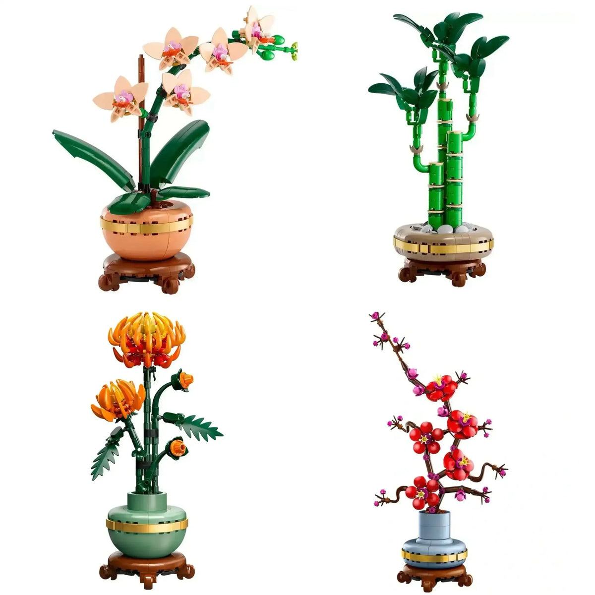 Botanical Building Blocks | Compatible System Bricks | Collector Display Set