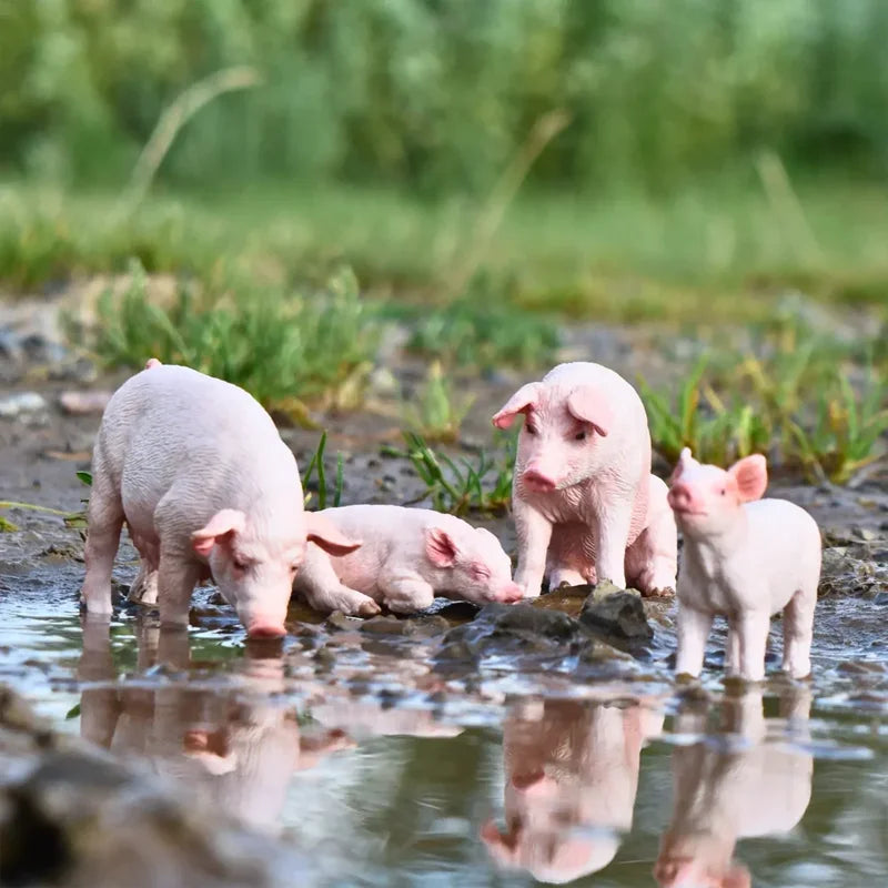Pig Farm Animal Figures | 8 Pieces | PVC Material | Mini Size