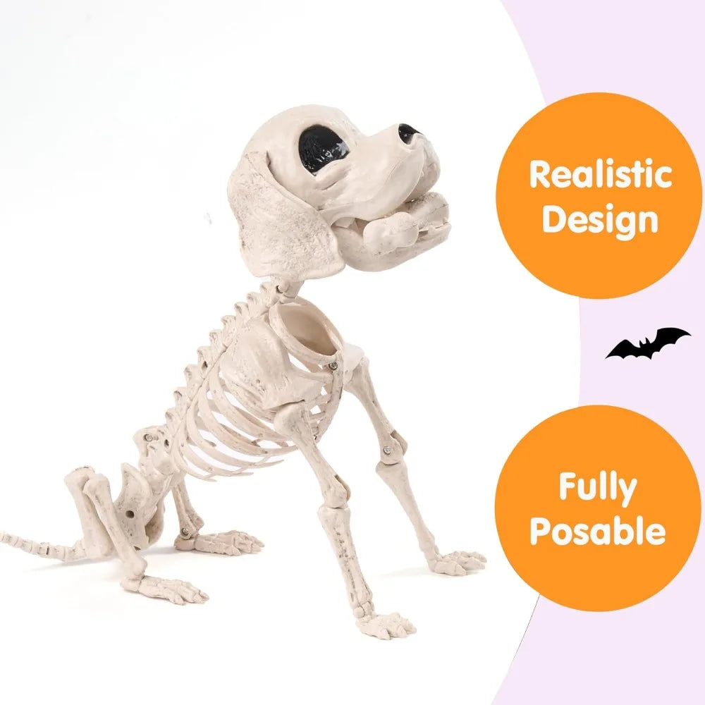 Halloween Dog Skeleton | Poseable Full Body | Realistic Design | Small 12 Inch