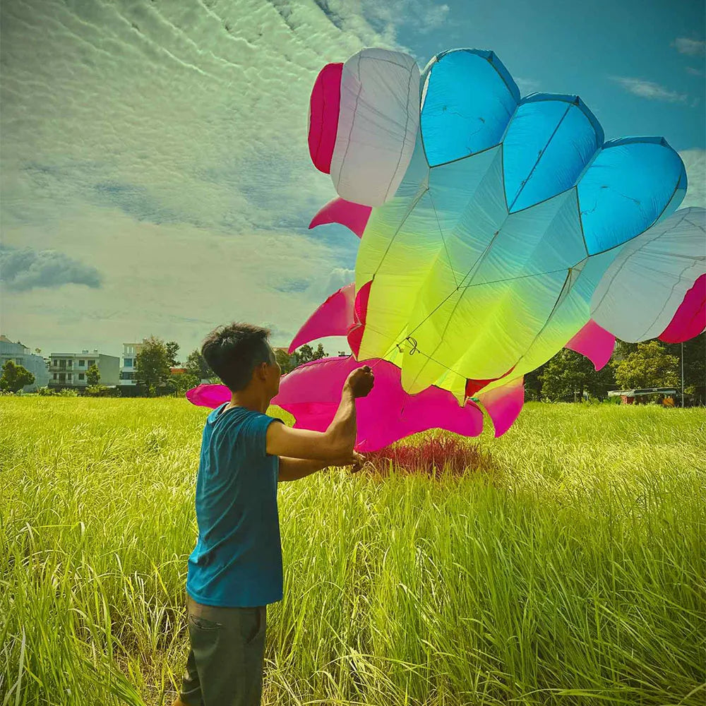 Kite | 5m/9m | 40D Ripstop Nylon | Goldfish Matte Color Design