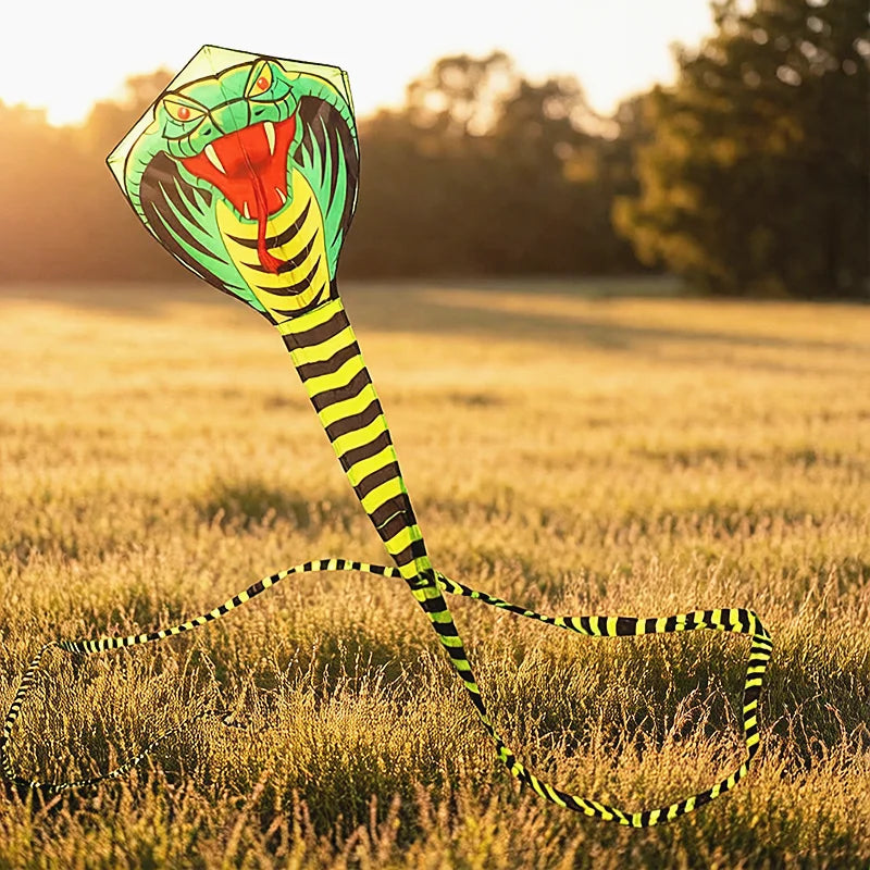 Kite | 15m Flying Line | Snake Pattern Colorful | Kids Outdoor Toy