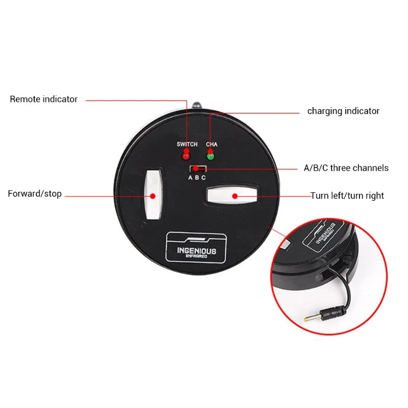 Educational Electric RC Crab Toy With Light Remote Control