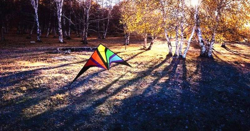 Dual Line Stunt Kites: High Quality Free Shipping Flying Power Kites - ToylandEU