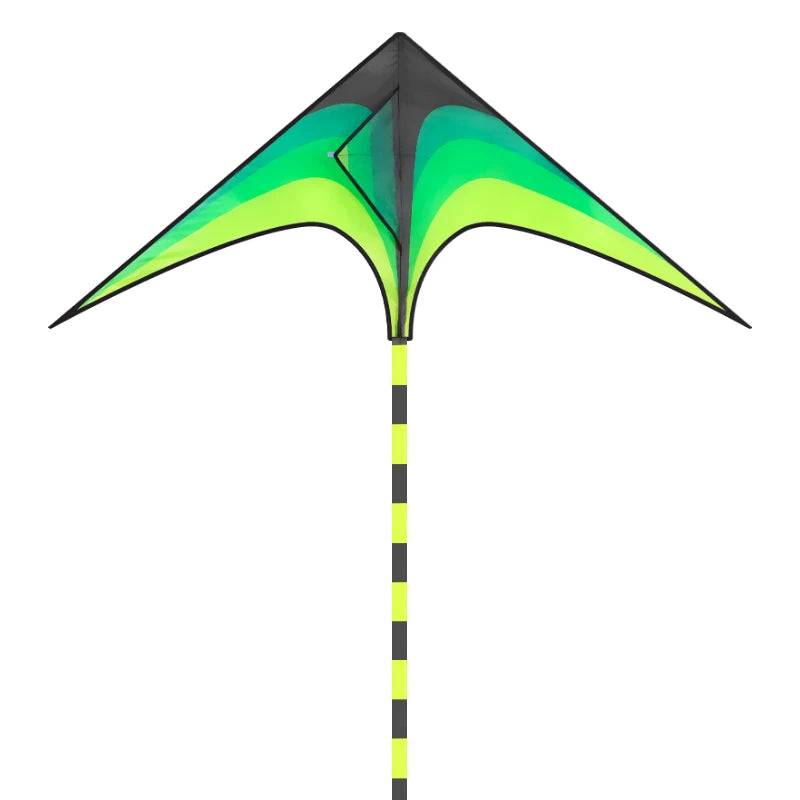 Large Green Delta Kite with 6m Tail - Easy-to-Fly Outdoor Toy for Kids and Adults