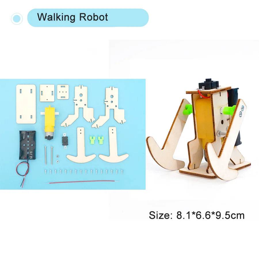 DIY Physical Model Science Experiment Educational Kit for Kids - ToylandEU