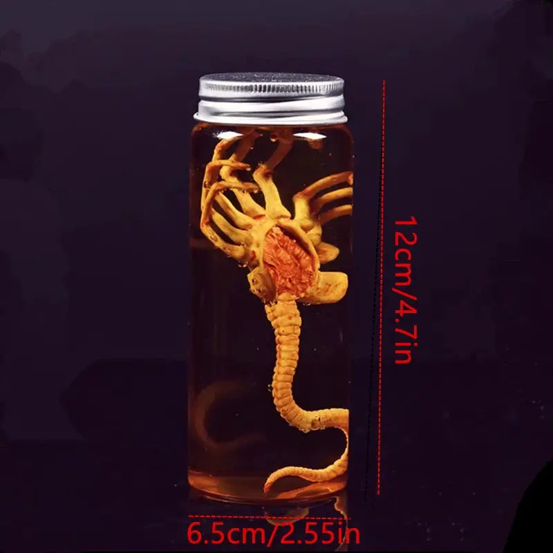 Alien Jar Xenomorph Specimen Facehugger Embryo Jar Movie Prop Replica - ToylandEU