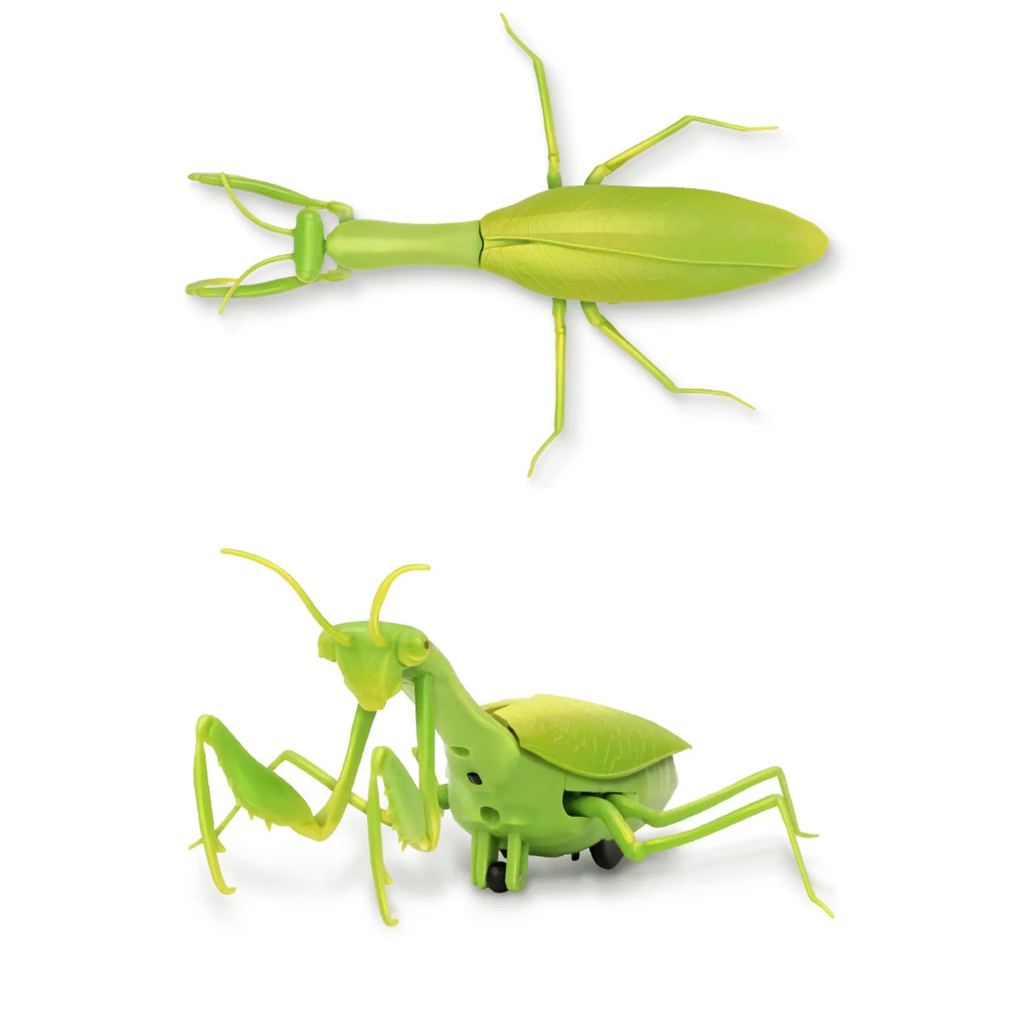 Terrifying Remote-Controlled Mantis - Ultimate Prank Toy for Kids!