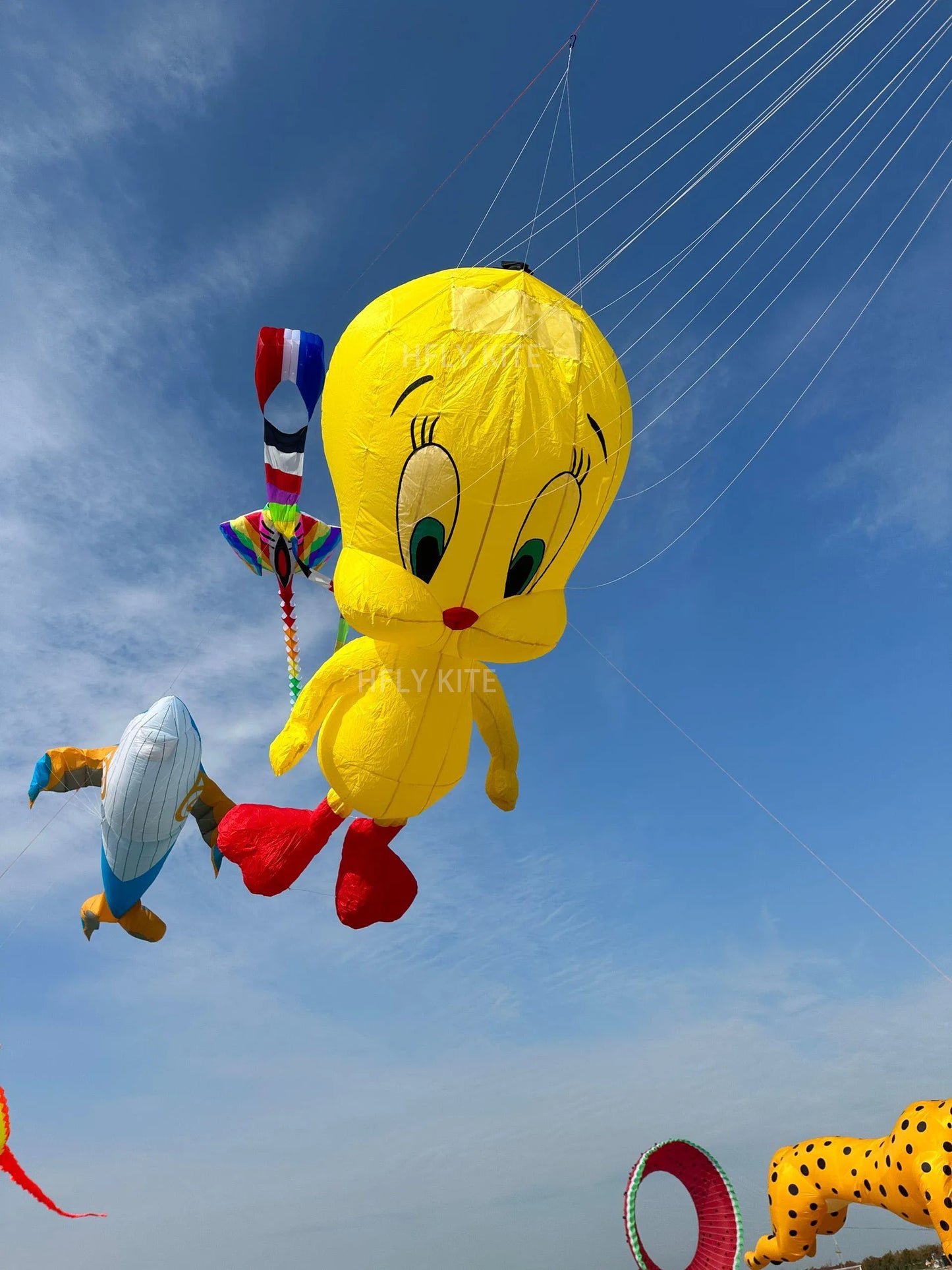 Kite | 5m Length | 40D Ripstop Nylon | Cartoon Cat Design