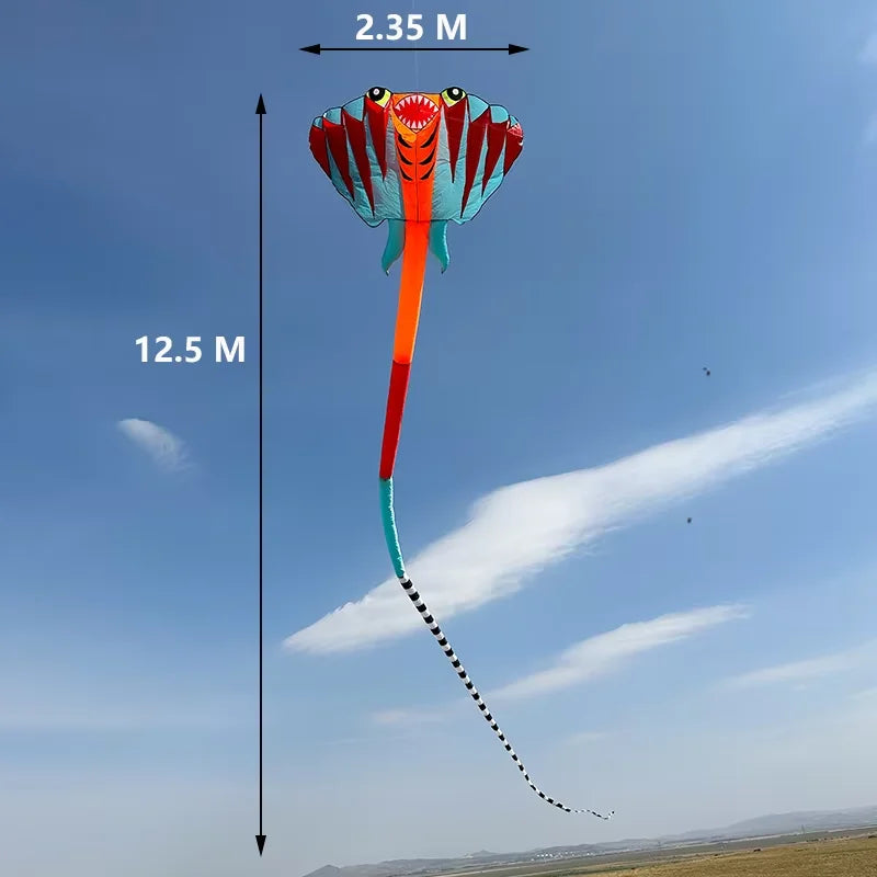 Kite | Size 12.5M | 2 Color Ray Soft Kite | Outdoor Beach