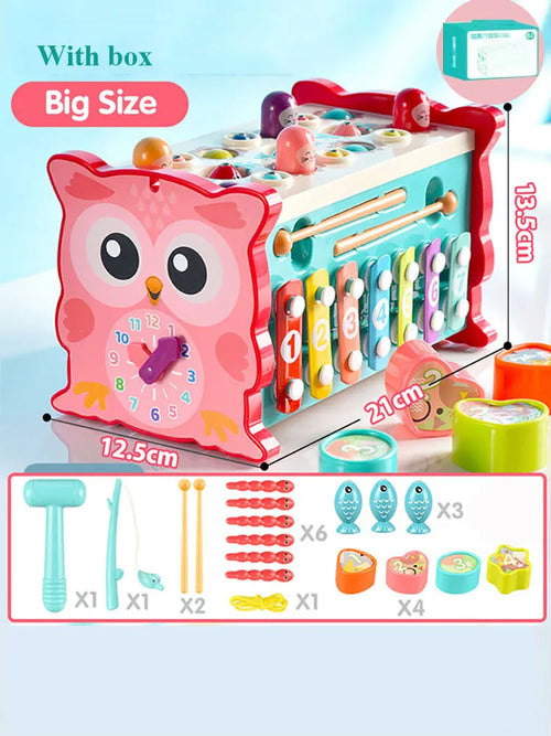 New Baby Montessori Toys Magnetic Fishing Owl Cube Learning ToylandEU.com Toyland EU