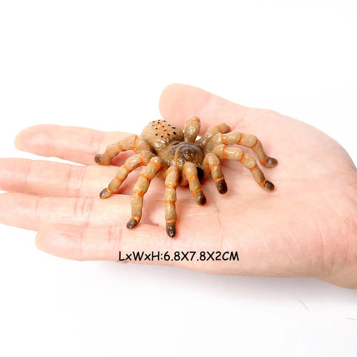 Realistic Insect Animals Figurines Set of Dung Beetle, Maratus Volans, Scorpion, Mantis ToylandEU.com Toyland EU