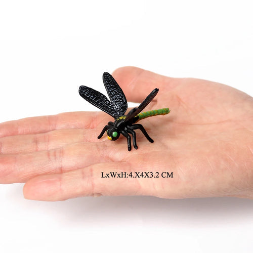 Realistic Insect Animals Figurines Set of Dung Beetle, Maratus Volans, Scorpion, Mantis ToylandEU.com Toyland EU