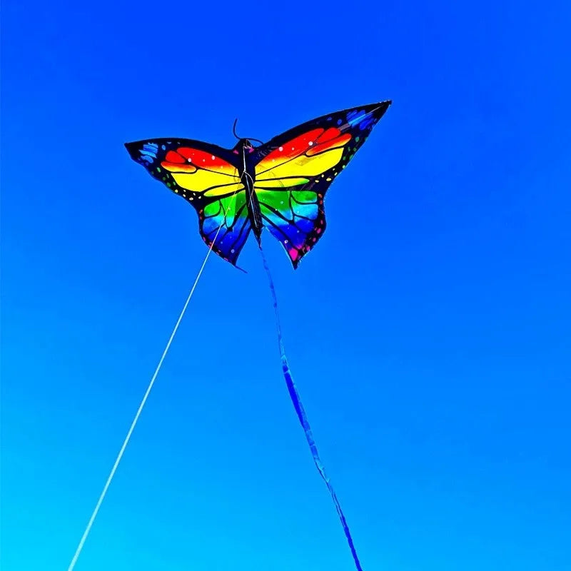 Kite | Easy Steering | Long Tail | Butterfly Design 1.45m