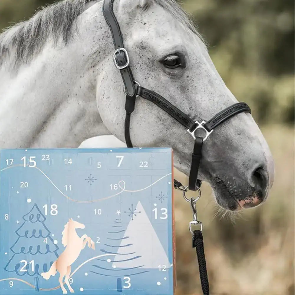 Advent Calendar | Horse Countdown Paper Doors | Daily Treasures 32 x 22 x 4 cm | Gift For Horse Enthusiasts