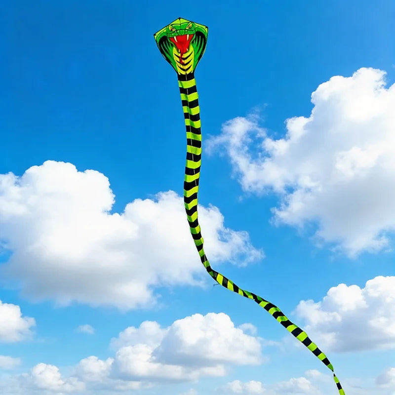 Kite | 15m Flying Line | Snake Pattern Colorful | Kids Outdoor Toy