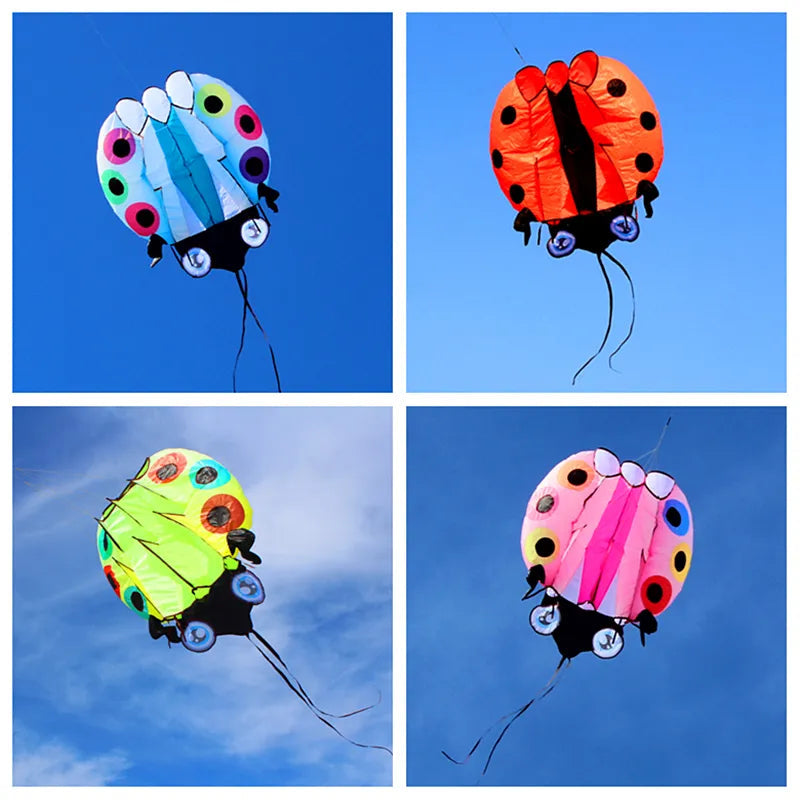 Large Ladybug 3D Soft Kite with Free Shipping for Outdoor Flying - ToylandEU