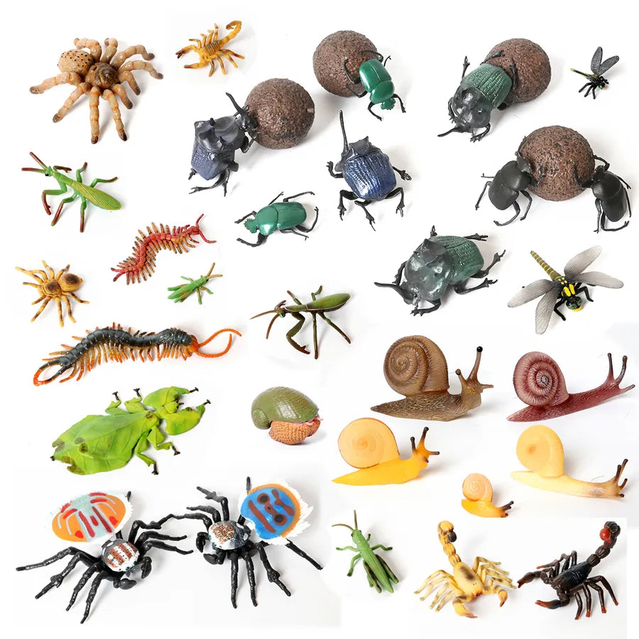 Realistic Insect Animals Figurines Set of Dung Beetle, Maratus Volans, Scorpion, Mantis - ToylandEU