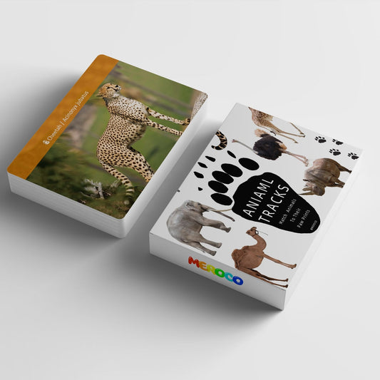 Educational African Animal Footprint Flash Cards for Kids