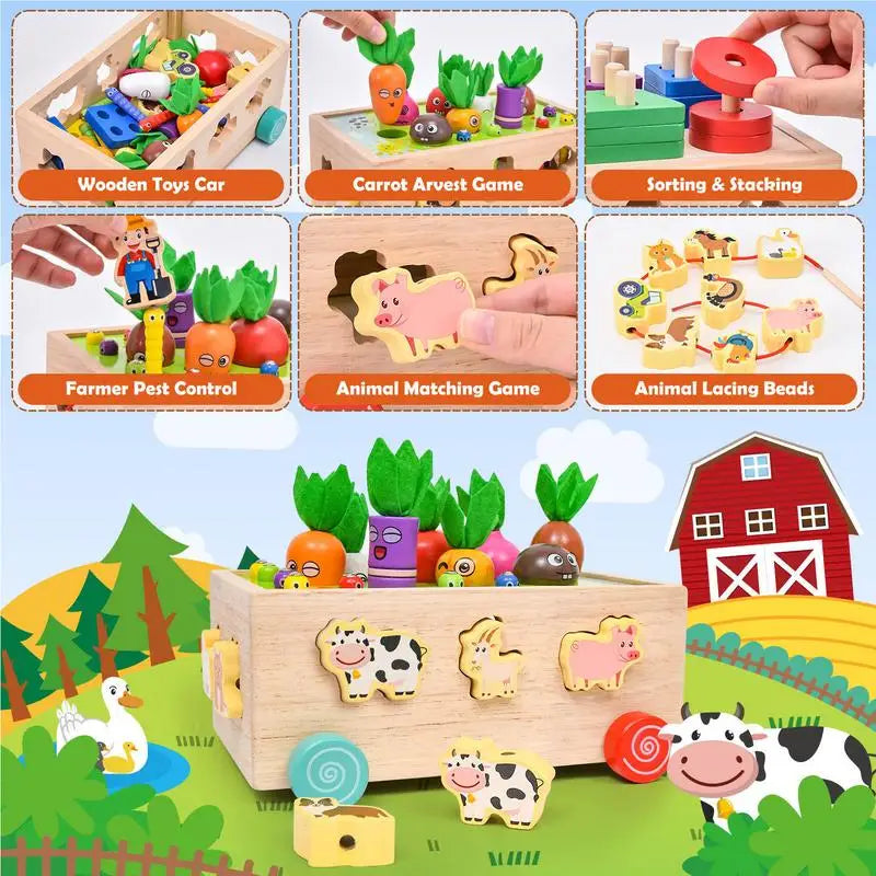 Engaging Montessori Carrot Harvest Sorting Toy for Pre-K Kids Fun