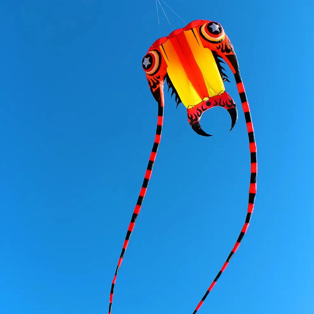 Trilobite Kite Large Single Line Parafoil Kite Line Laundry for 7㎡~16㎡