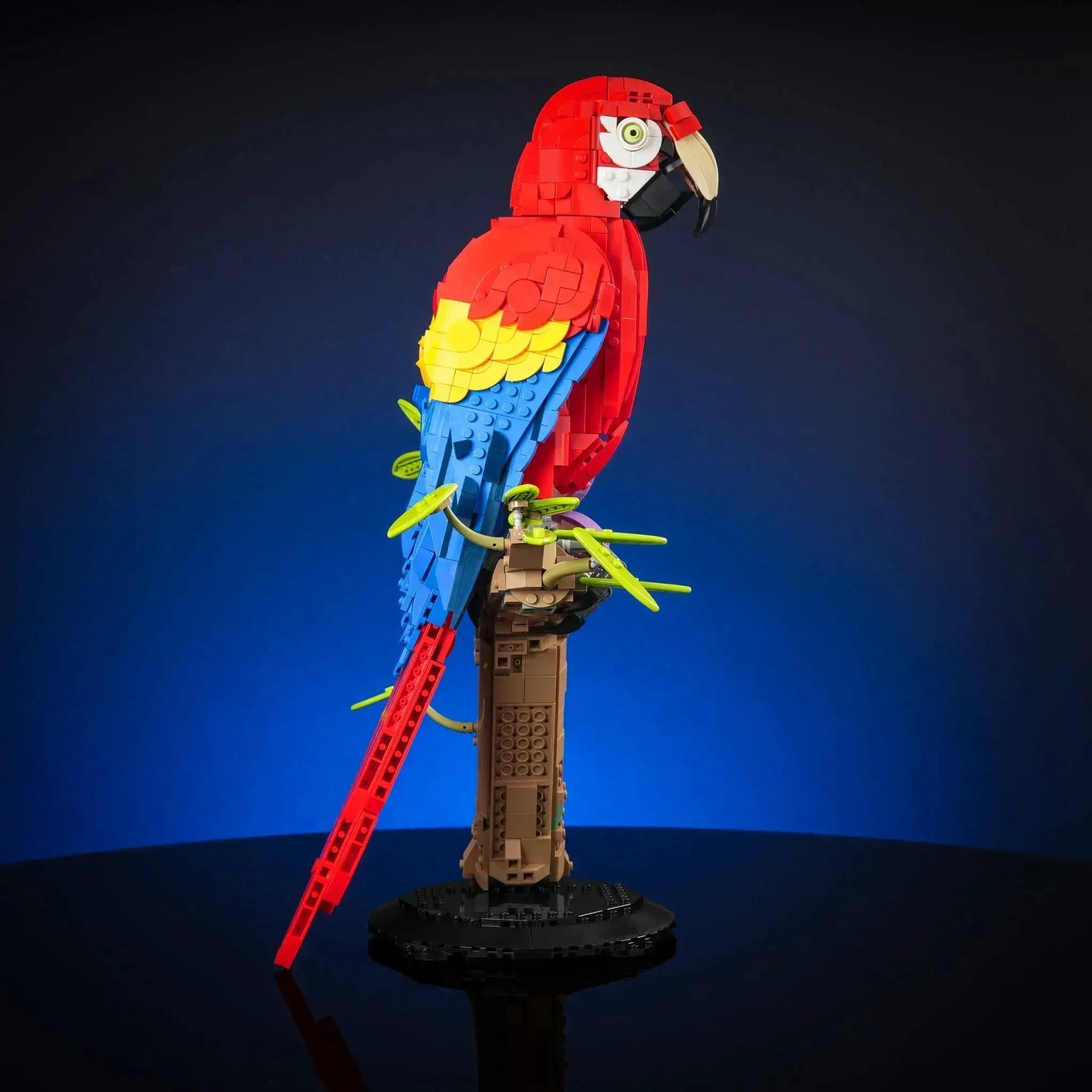Scarlet Macaw Lifelike Bird Model For Adventure Decor - ToylandEU