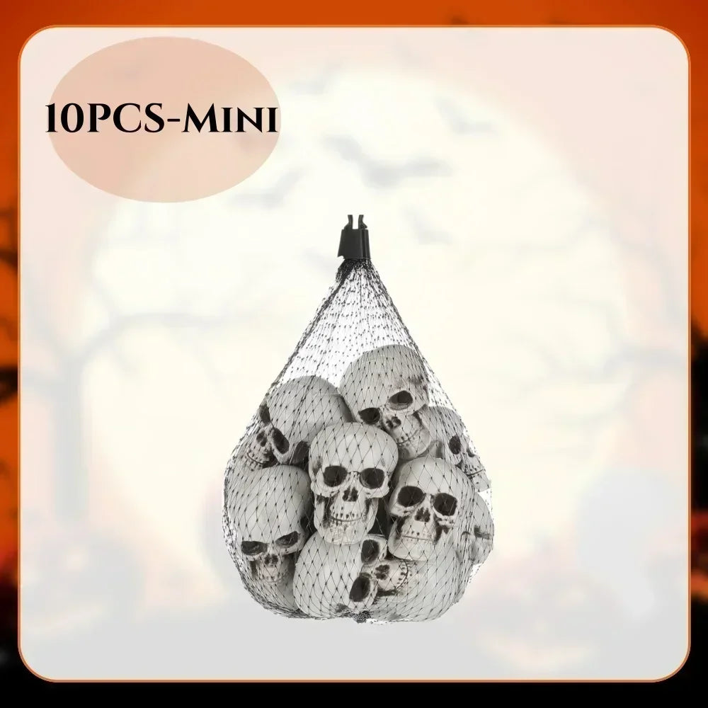 Mini Halloween Skull Heads | Plastic Material | Assorted Sizes | Desk Decor