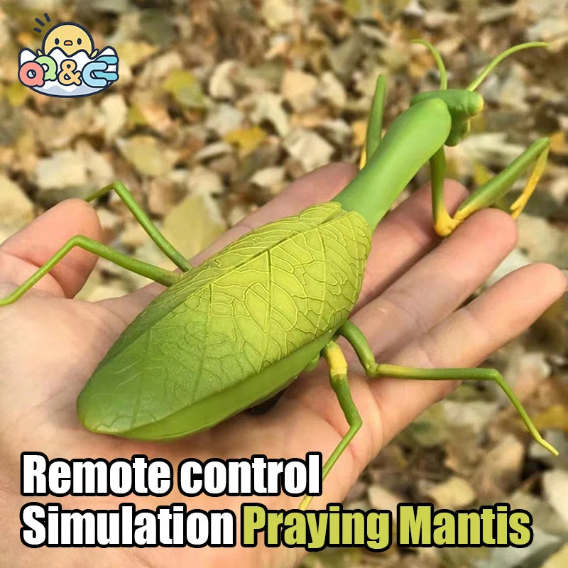 Remote Control Electric Insect Robots - Fun Kids' Prank & Antistress Toy