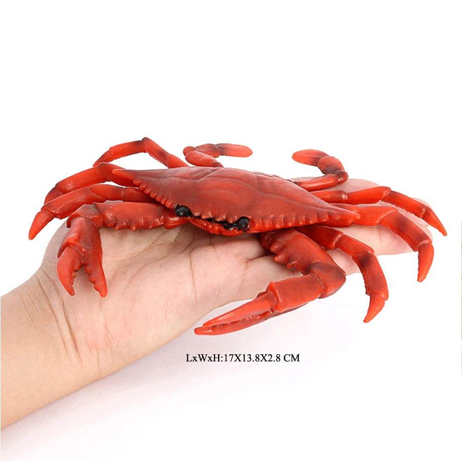 Realistic Sea Life Figurines Hermit Crab King Crab Display - ToylandEU