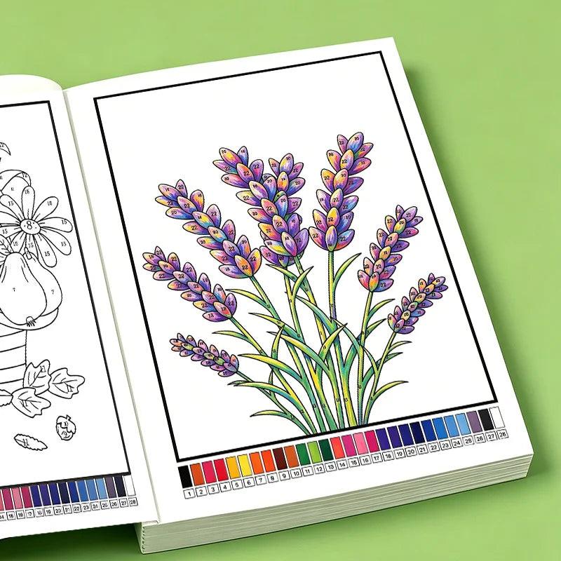 Color By Number Book | 32 Pages | Toylandeu™