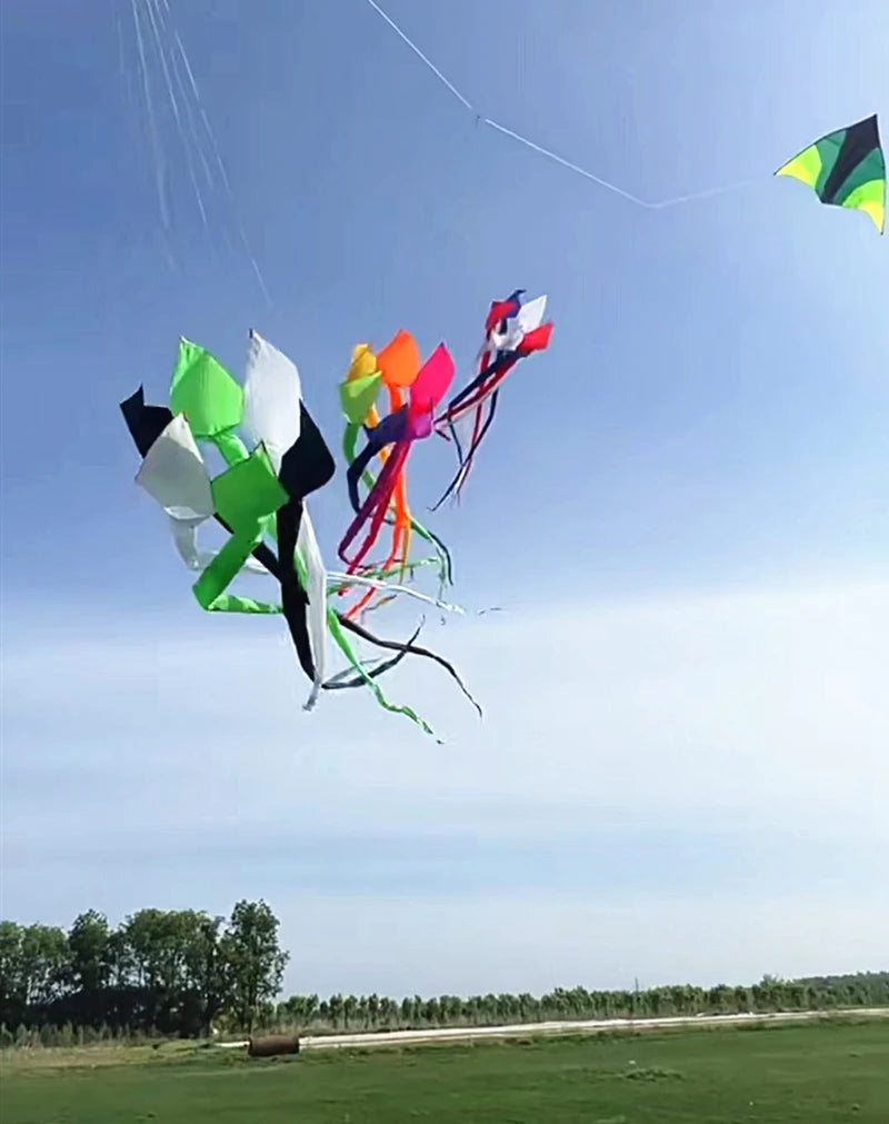 Large Soft Nylon Kites with Free Shipping - ToylandEU