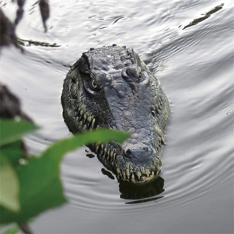 Crocodile Head 2.4G Remote Control RC Boat - ToylandEU