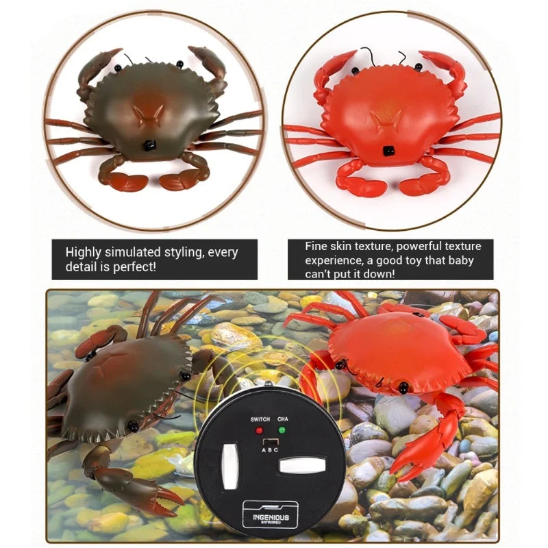 Educational Electric RC Crab Toy With Light Remote Control