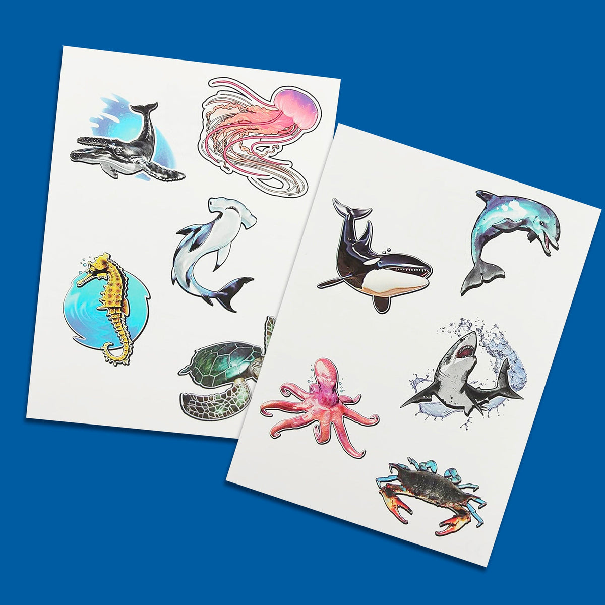 Sea Creatures AR Stickers | 3D Animation | Toylandeu™