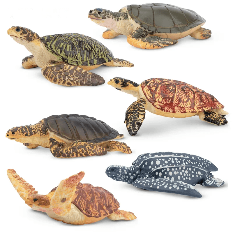  Sea Turtle Figures | PVC Mini Figures | Toylandeu™ 