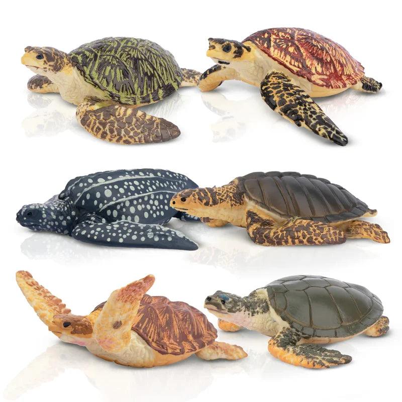  Sea Turtle Figures | PVC Mini Figures | Toylandeu™ 