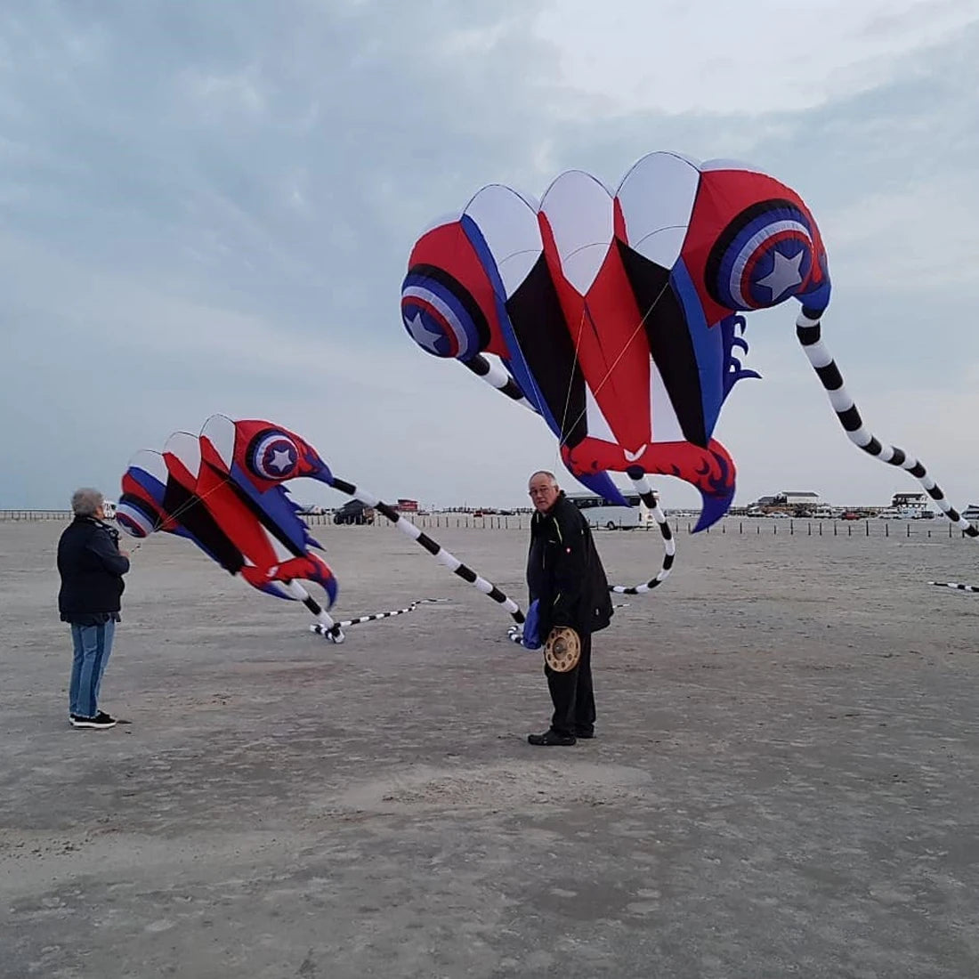 Trilobite Kite Large Single Line Parafoil Kite Line Laundry for 7㎡~16㎡ - ToylandEU